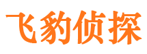 常宁外遇出轨调查取证